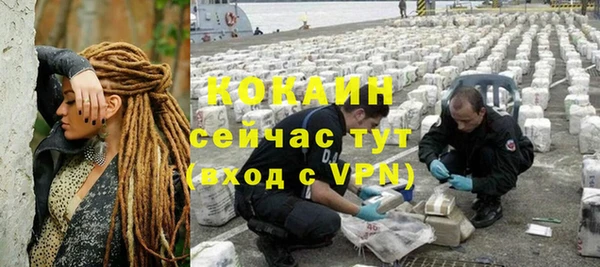 мдпв Козловка