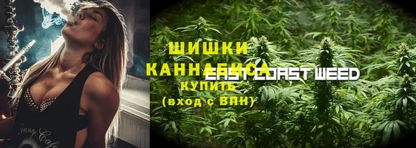 ПСИЛОЦИБИНОВЫЕ ГРИБЫ Кодинск