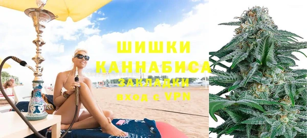 мдпв Козловка