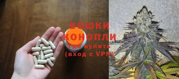 ПСИЛОЦИБИНОВЫЕ ГРИБЫ Кодинск