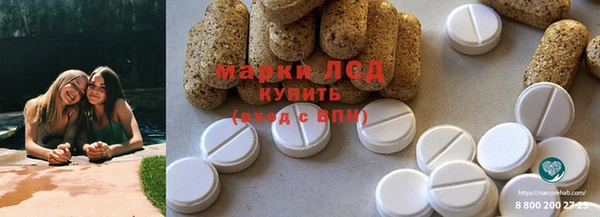 ПСИЛОЦИБИНОВЫЕ ГРИБЫ Кодинск