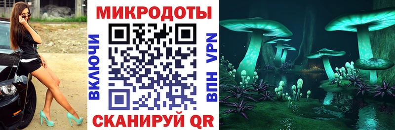 Купить где  Улан-Удэ  Псилоцибиновые грибы Psilocybine cubensis 